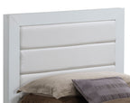 Transitional Modern Panel Bed with Wood Construction - Multiple Colors