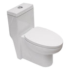 1 Piece Toilet with Dual Flush and Soft Closing Seat - White