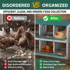 6 Room Metal Chicken Nesting Box with Galvanized Steel Construction - Green