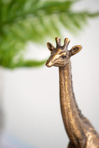 5.9x2.2x11.2" Giraffe Statuette