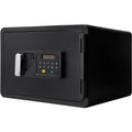 0.54 Cubic Ft Keypad Fireproof Security Safe with Electronic Keypad - Black