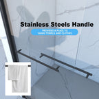 Double Sliding Shower Door with Tempered Glass - Matte Black
