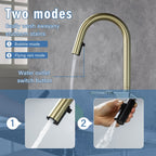High Arc Pull Down Kitchen Faucet with Built-In Shelf - Pearl Silver or Gold
