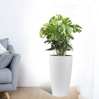 Tall Planters Set with Auto Watering and Water Level Monitor - Polypropylene
