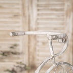 Rustic Bicycle Metal Wire Wall Planter Basket with Vintage Design - Grey and White