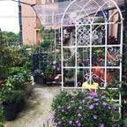 Metal Garden Rustproof Trellis for Climbing Plants – Outdoor Flower Support