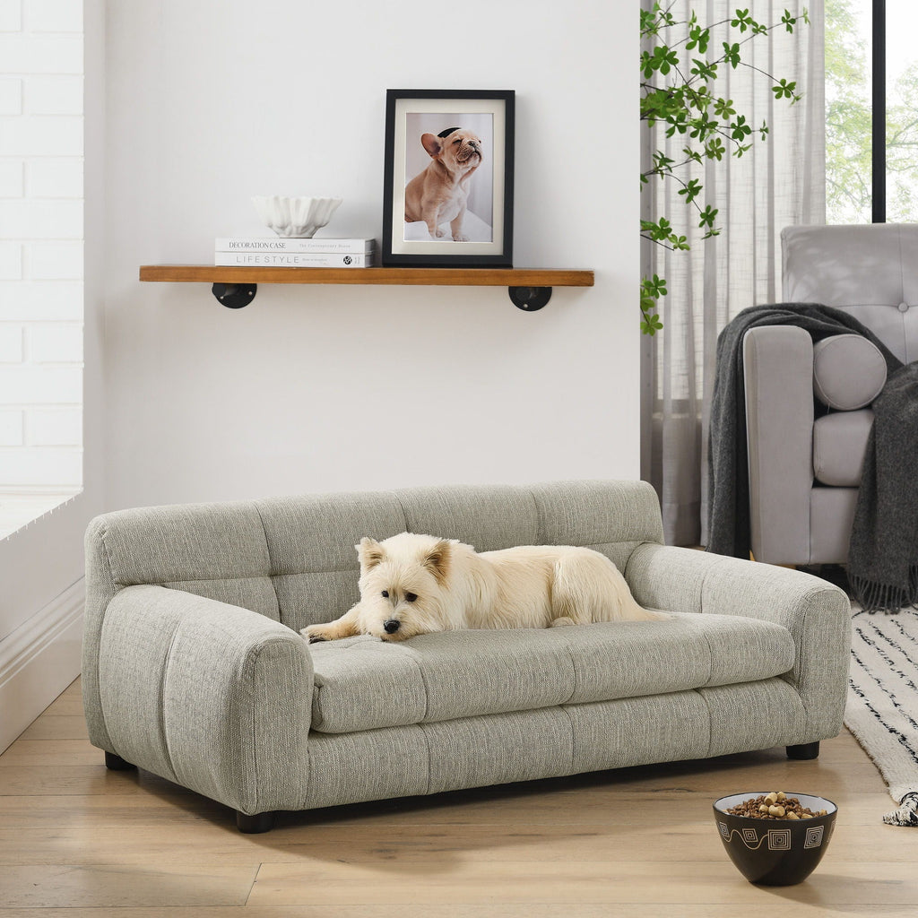 Modern Pet Sofa With Backrest And Armrests