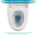Dual Flush 1 Piece Toilet with Soft Closing Seat - White
