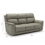 Dual Power Reclining Sofa with Adjustable Headrest - Blue, Dark Brown, Dark Gray
