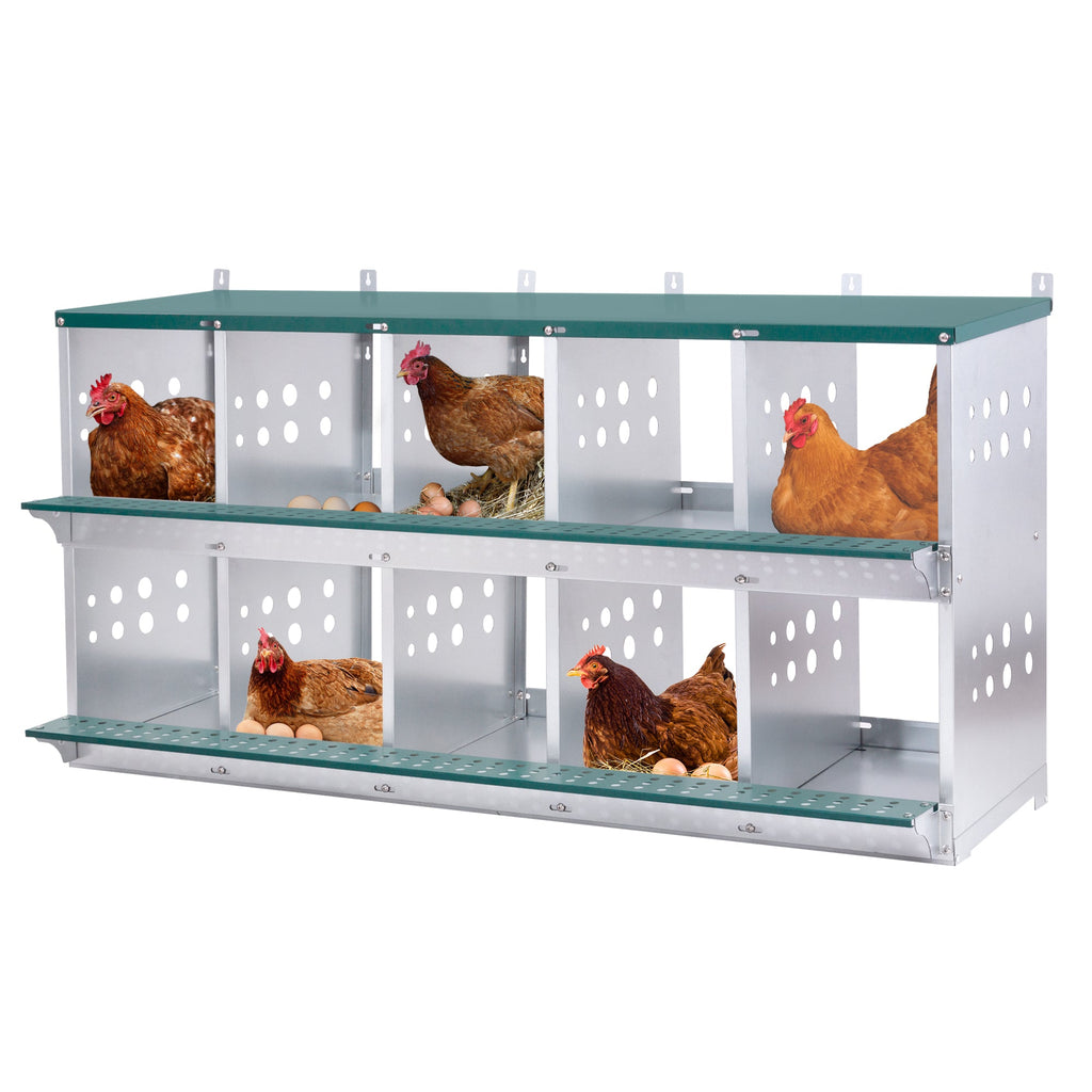 10-Bay Metal Nest Box with Wall Mount - Galvanized Steel