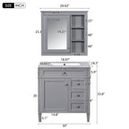 Gray Bathroom Vanity with Ceramic Sink, Storage Cabinet & Mirror