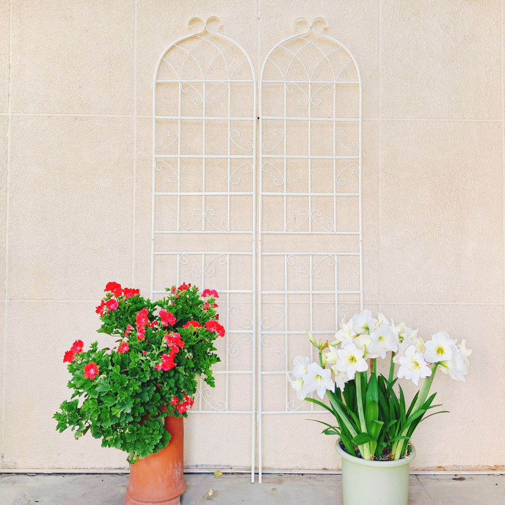 Metal Garden Rustproof Trellis for Climbing Plants – Outdoor Flower Support