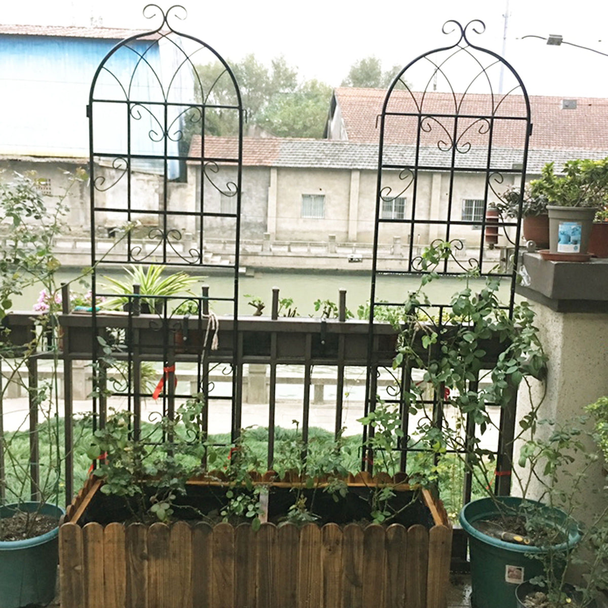 Metal Garden Rustproof Trellis for Climbing Plants – Outdoor Flower Support
