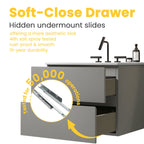Space Grey 24-Inch Wall Mount Bathroom Vanity with Extra Storage