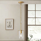 Adjustable Pendant Lighting with Clear Glass Shade - Black or Gold