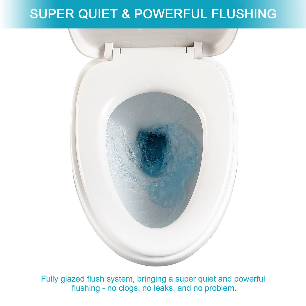 1 Piece Toilet with Dual Flush and Soft Closing Seat - White