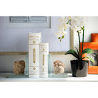 Book Boxes Set of 2 with Faux Leather Covers - White / Gold