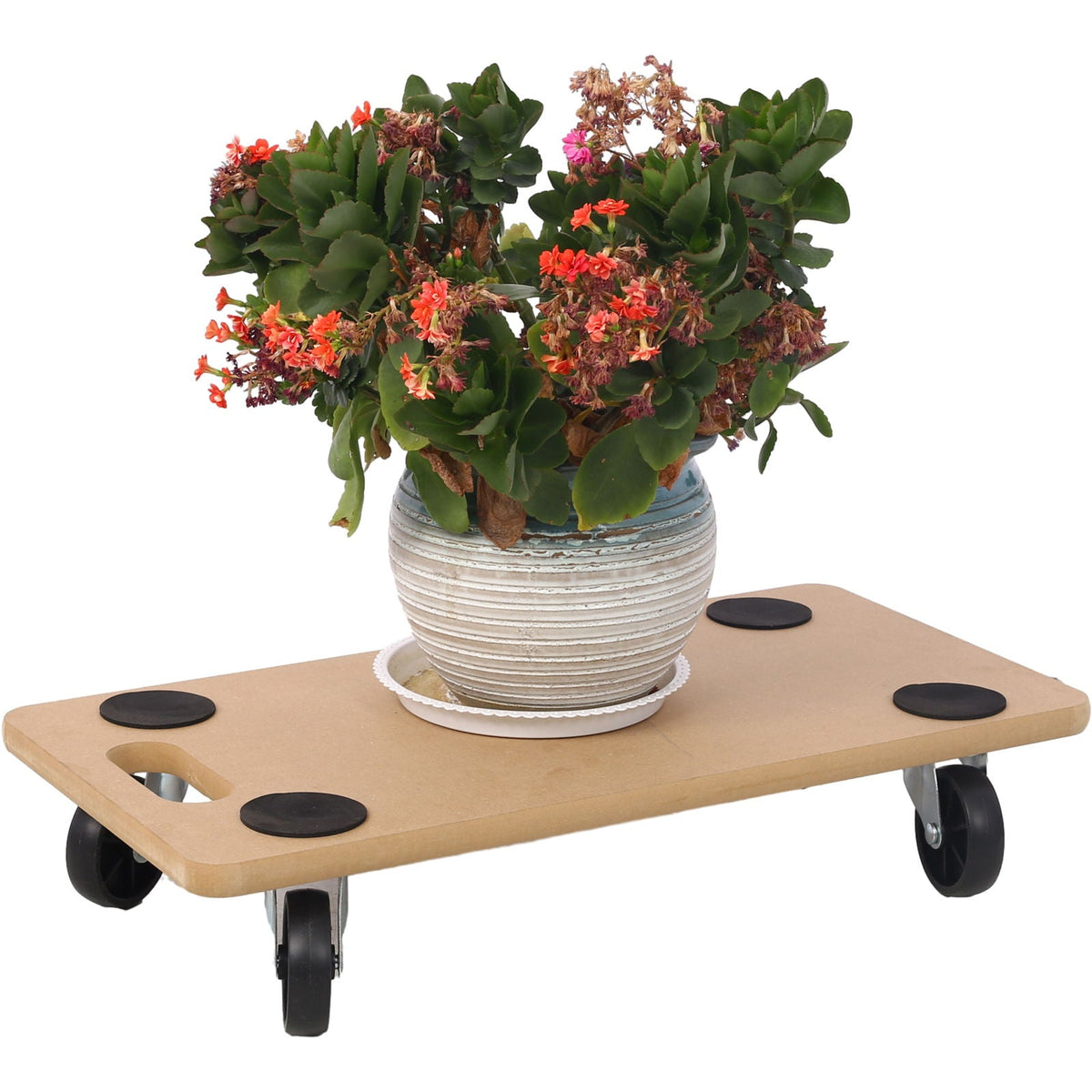 Furniture Moving Dolly, Heavy Duty Wood Rolling Mover with 500 lb Capacity - Natural