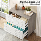 2 Drawer Lateral File Cabinet with Dual-Space Drawers - Gray / White
