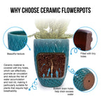Ceramic Planter with Drainage Hole - White or Light Blue