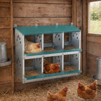 6 Room Metal Chicken Nesting Box with Galvanized Steel Construction - Green
