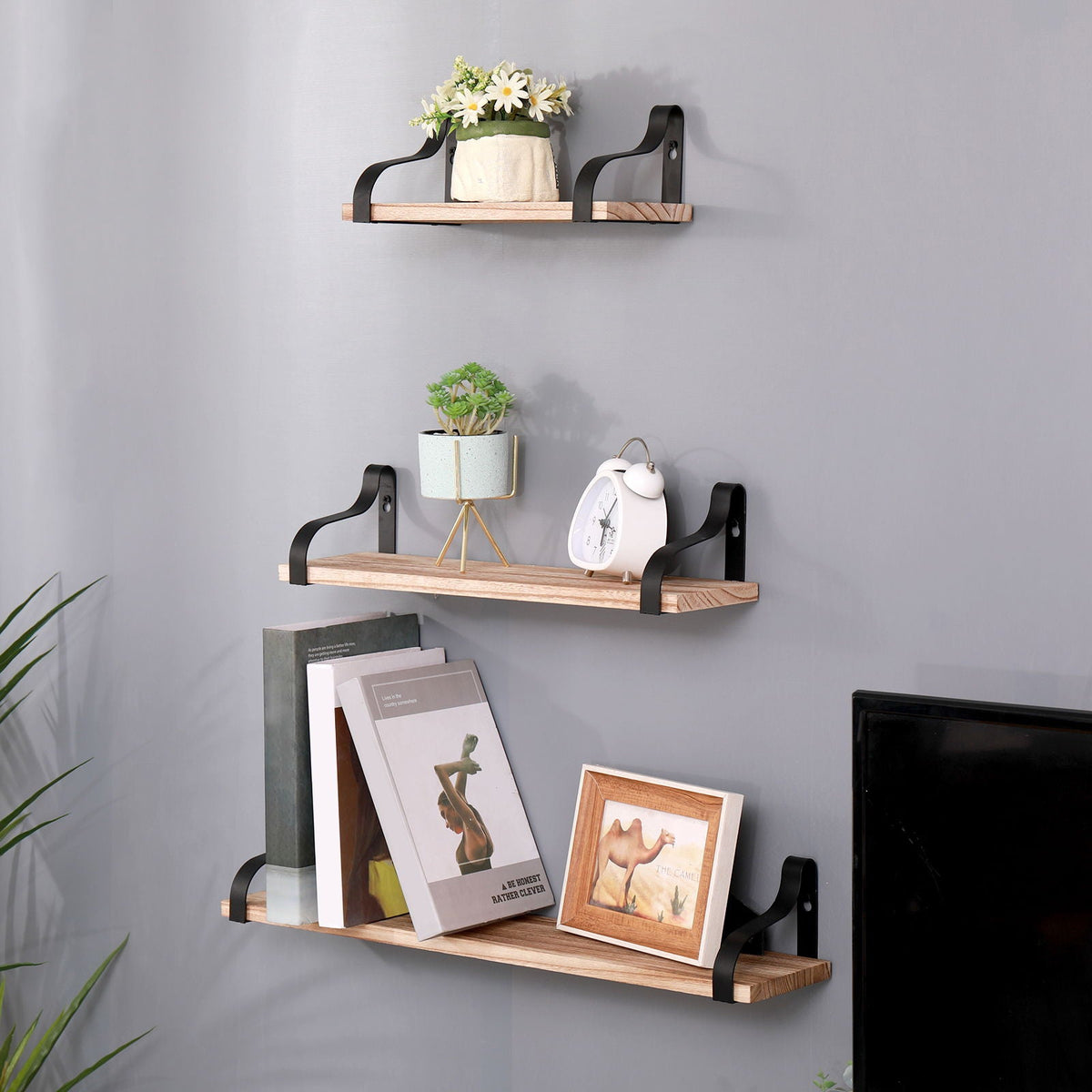 Floating Shelves, Long Wall Shelves (Set of 3)