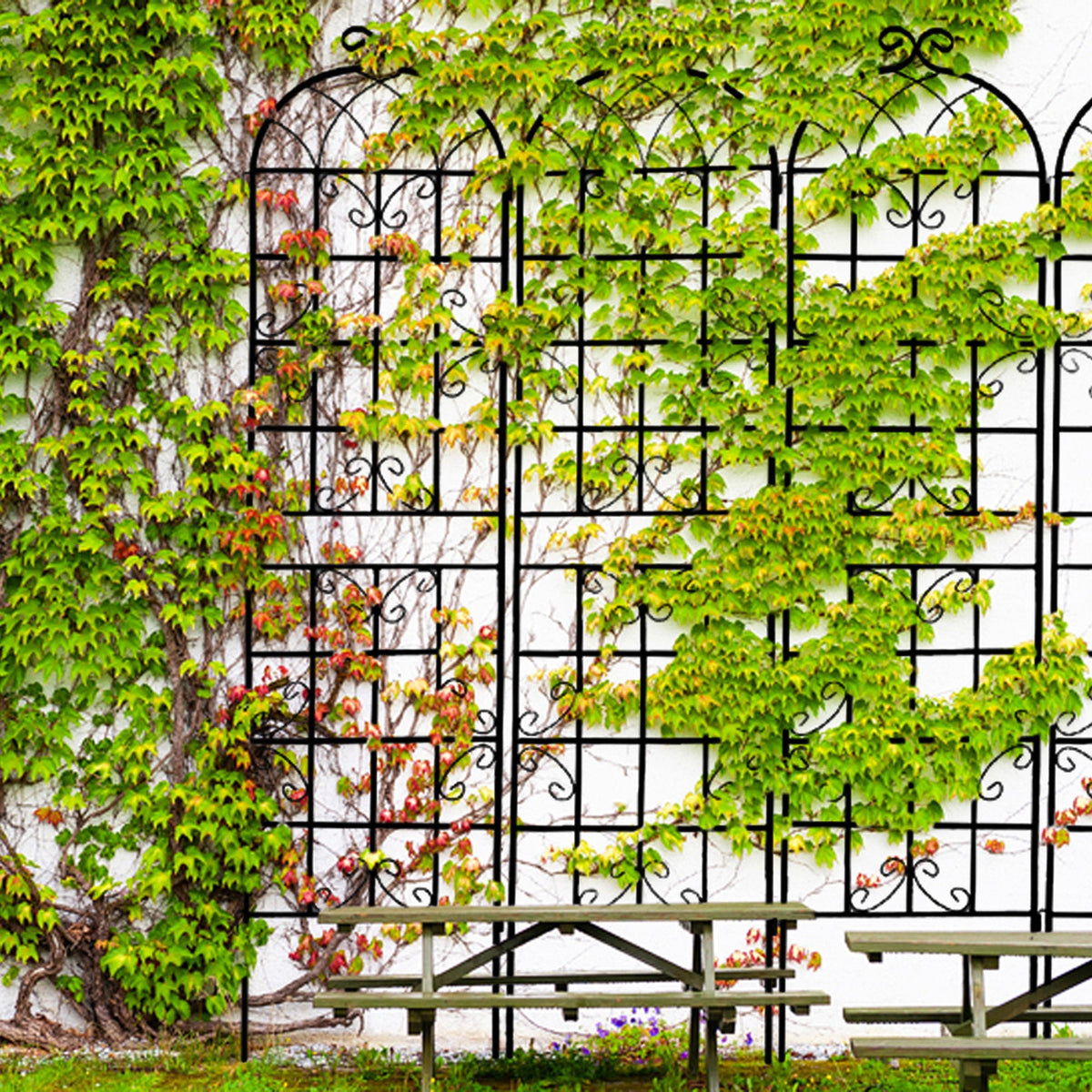 Metal Garden Rustproof Trellis for Climbing Plants – Outdoor Flower Support