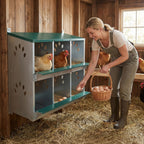6 Room Metal Chicken Nesting Box with Galvanized Steel Construction - Green