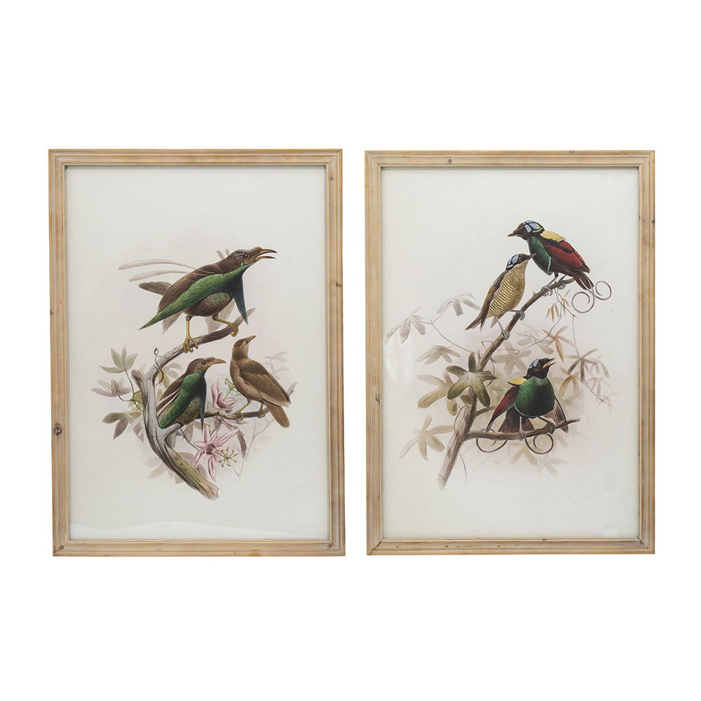 Bird Framed Print Set with Light Wood Frame - Multicolor