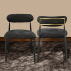 Side Chair Set with Metal Frame and Padded Armrests - Black or Beige