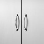 Stainless Steel BBQ Access Door with Ergonomic Handles - Silver