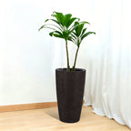 Tall Planters Set with Auto Watering and Water Level Monitor - Polypropylene