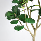 7FT Artificial Fiddle Leaf Fig Tree with Modern Black Pot - Green Leaves