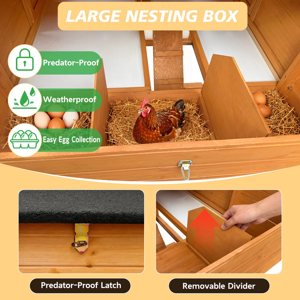Chicken House for Outdoor Use
