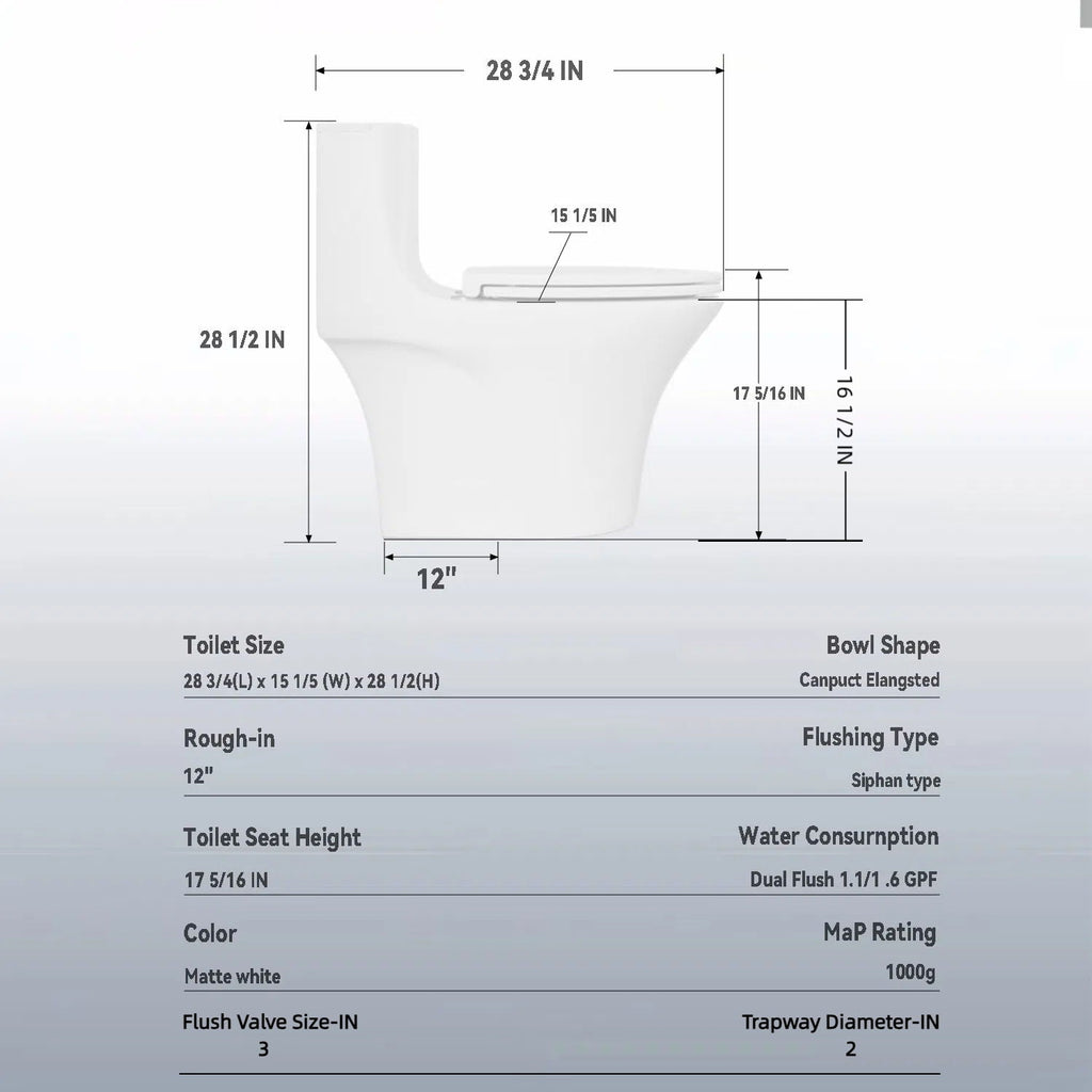 Elegant One Piece Toilet With Tornado Dual Flush