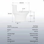 Elegant One Piece Toilet With Tornado Dual Flush