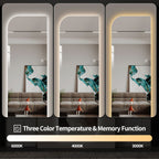 Irregular Shape LED Full Length Wall Mirror with 3 Color Dimmable Lighting - Silver