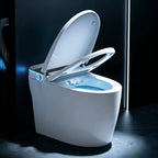 Smart Toilet with Heated Bidet Seat