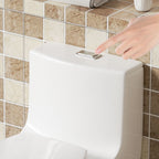 Elegant One Piece Toilet With Tornado Dual Flush