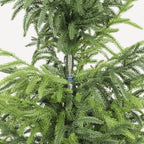 4' Artificial Real Touch Pine Tree with Realistic Detailing - Green