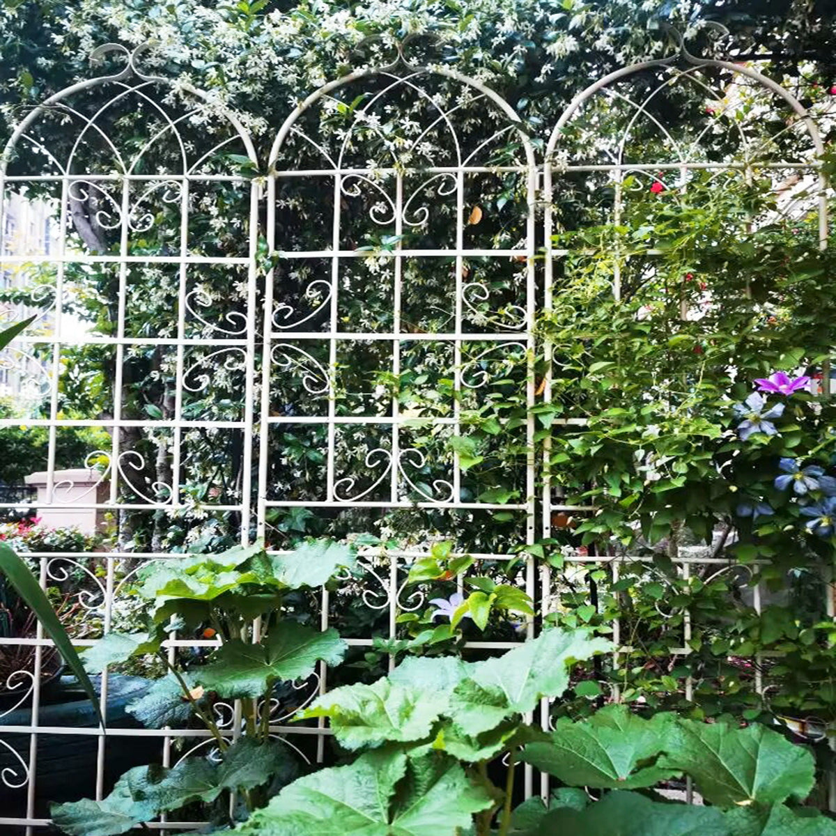 Metal Garden Rustproof Trellis for Climbing Plants – Outdoor Flower Support