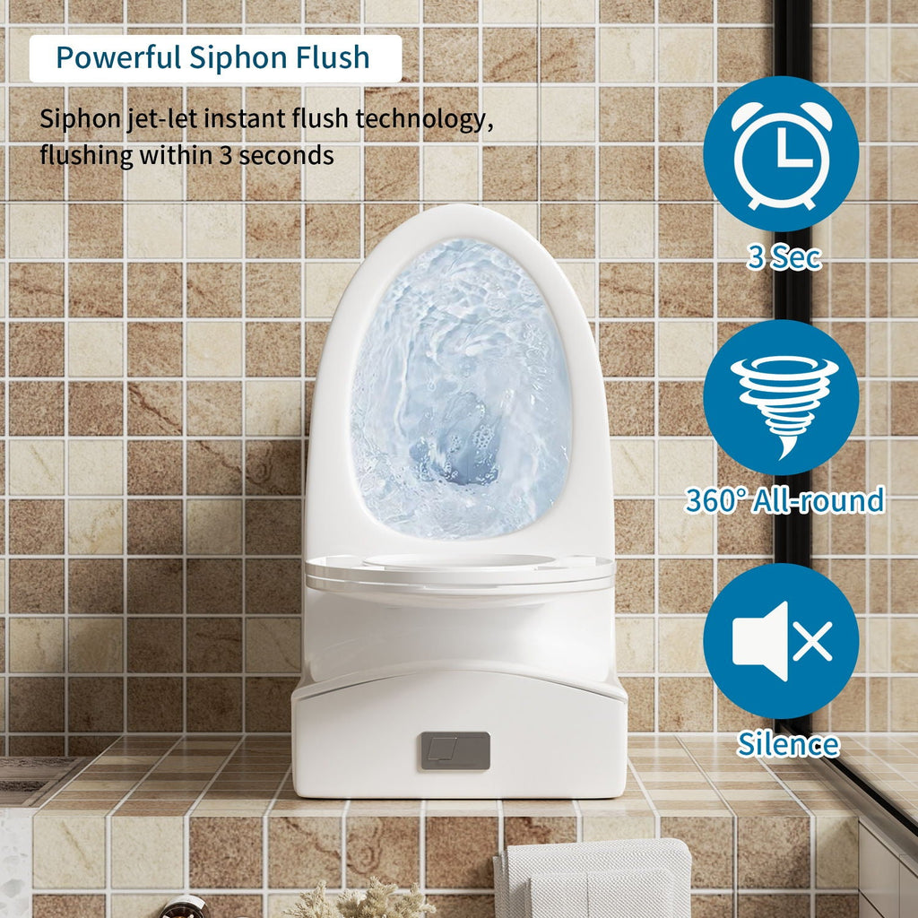 Elegant One Piece Toilet With Tornado Dual Flush