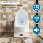 Elegant One Piece Toilet With Tornado Dual Flush