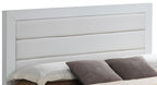Transitional Modern Panel Bed with Wood Construction - Multiple Colors