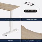 55"×24" Light Electric Standing Desk