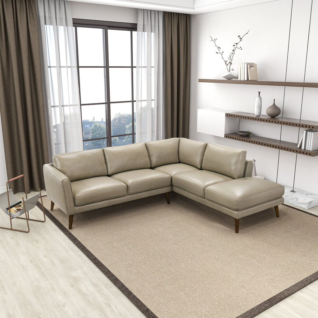 Benson Sectional Sofa With Chaise - Multiple Colors