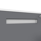 2-Drawer Mobile File Cabinet with Lock - White
