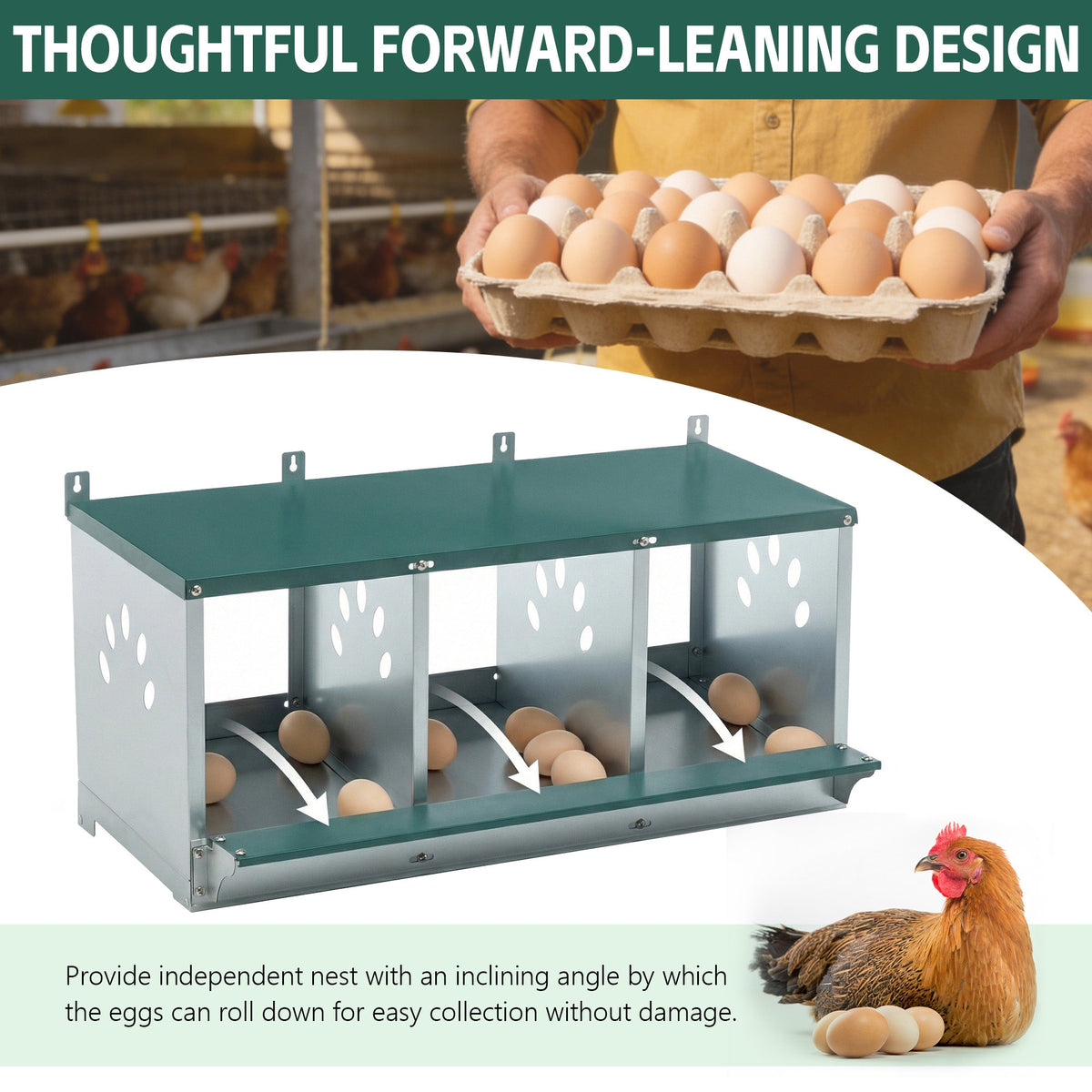 Galvanized Steel Metal Nesting Boxes for Chicken with Three Compartments