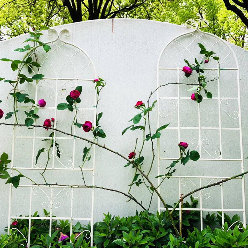 Metal Garden Rustproof Trellis for Climbing Plants – Outdoor Flower Support