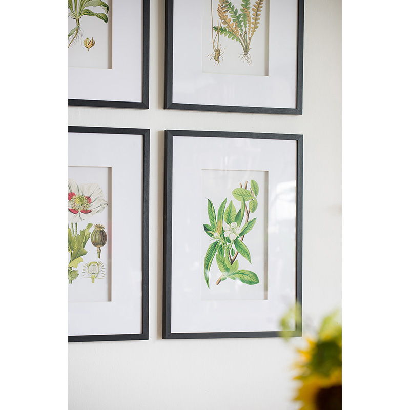 Botanical Flower Wall Art Set of 4 with Framed Prints - White / Blue